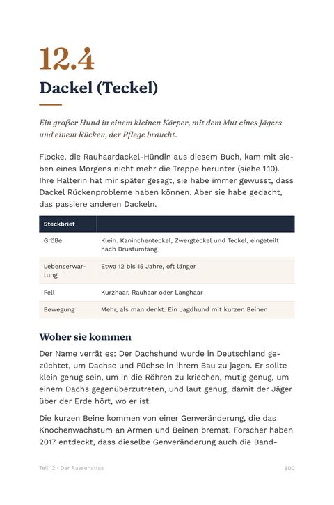 Rassenkarte Dackel